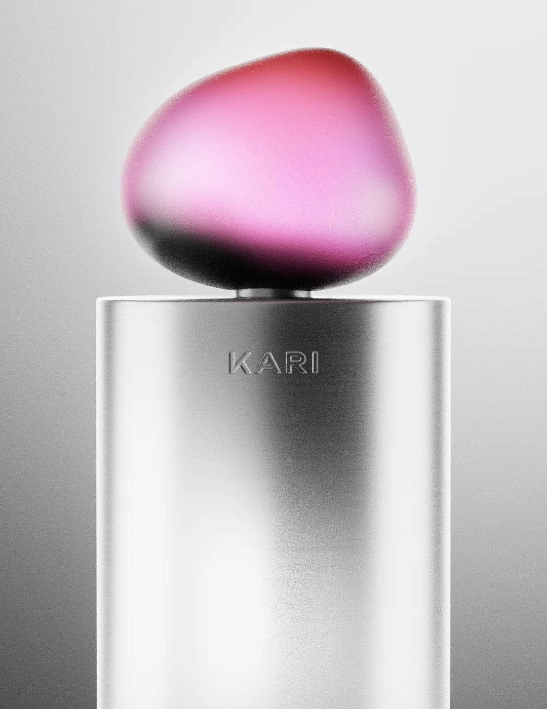 KARI project image