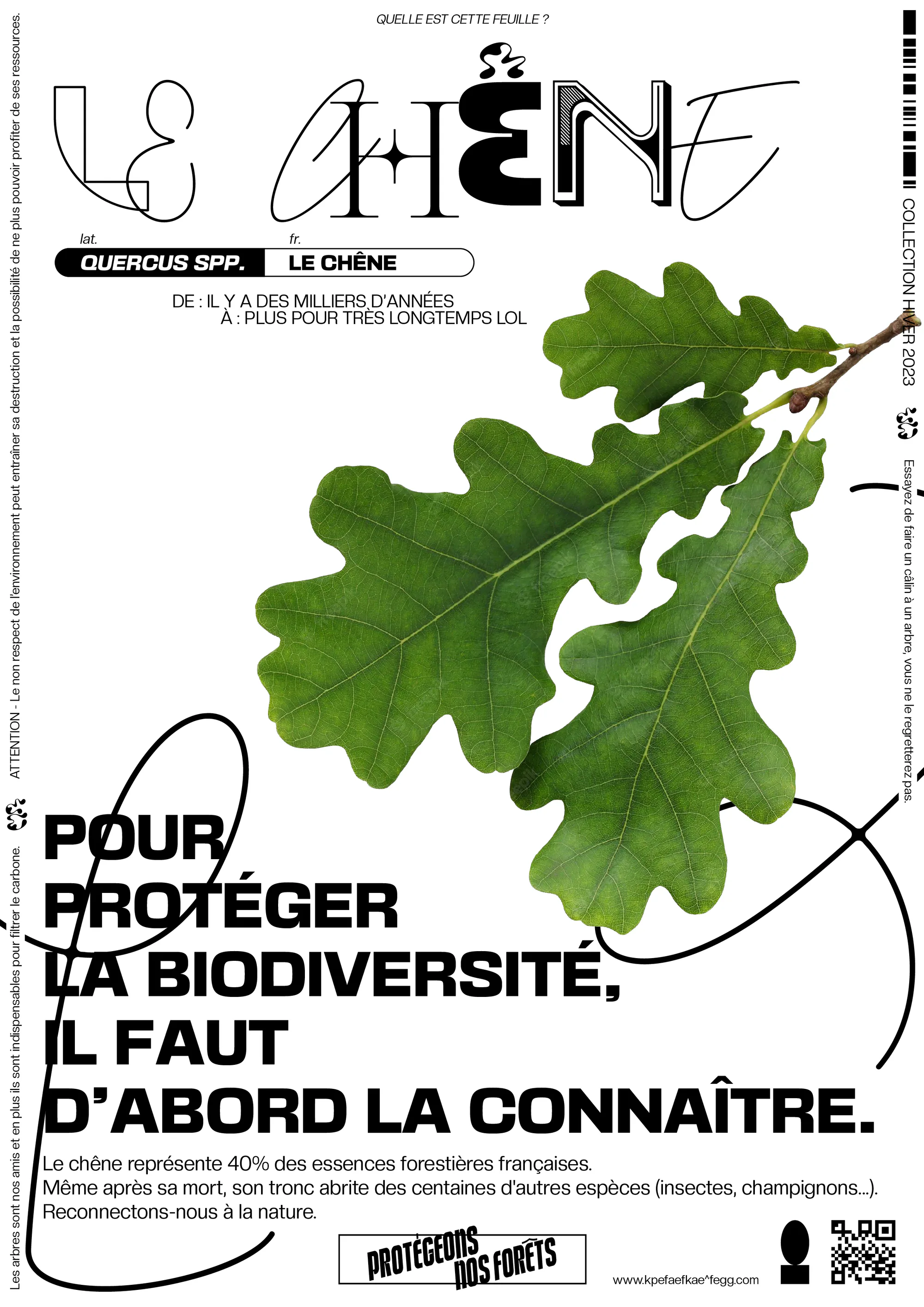PROTÉGEONS NOS FORÊTS project image