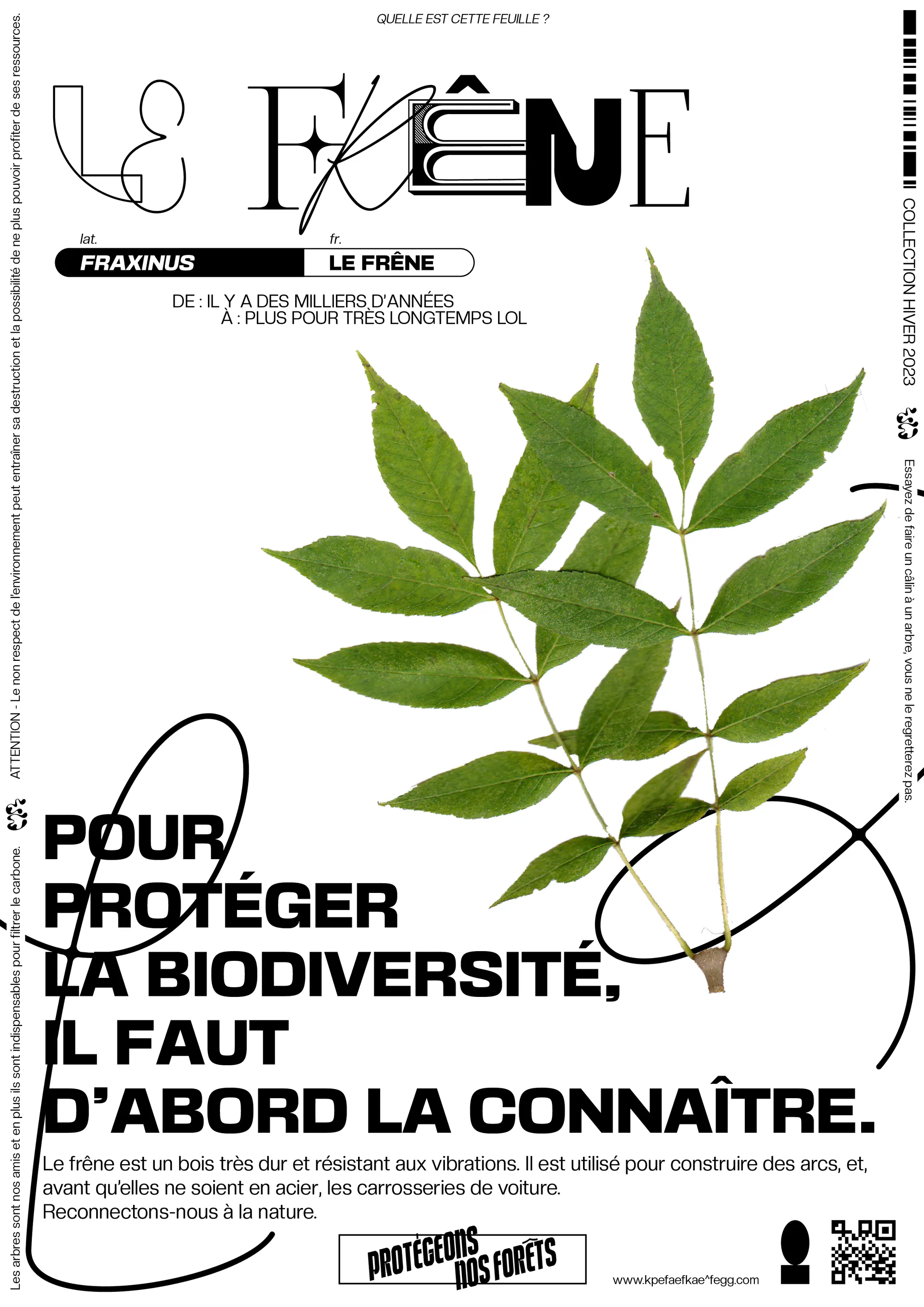 PROTÉGEONS NOS FORÊTS project image