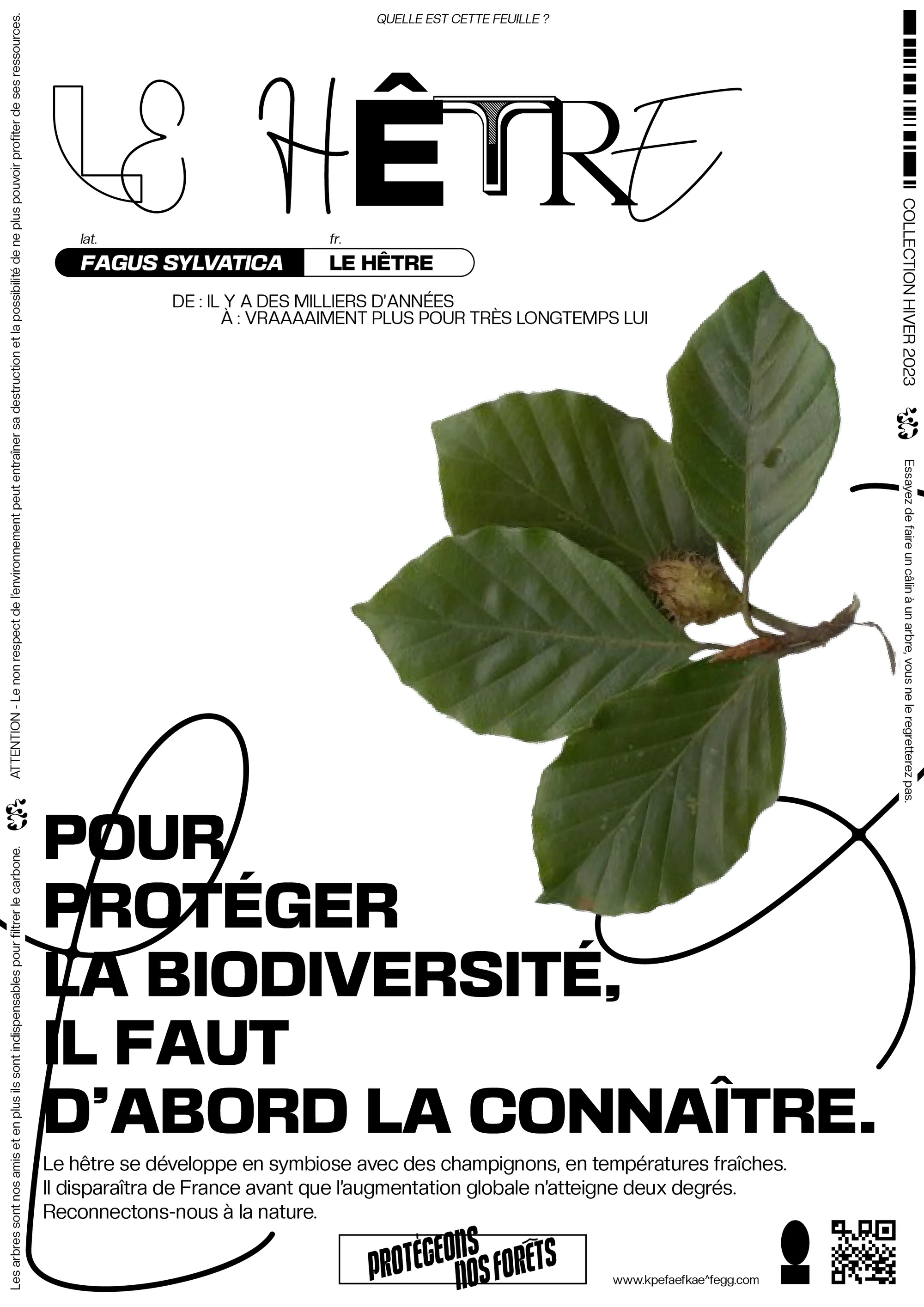 PROTÉGEONS NOS FORÊTS project image
