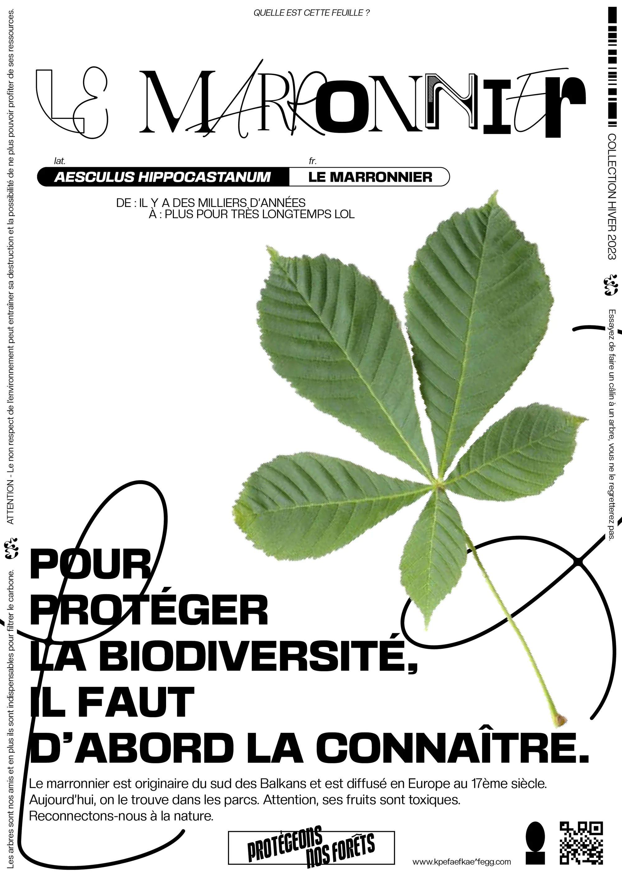 PROTÉGEONS NOS FORÊTS project image