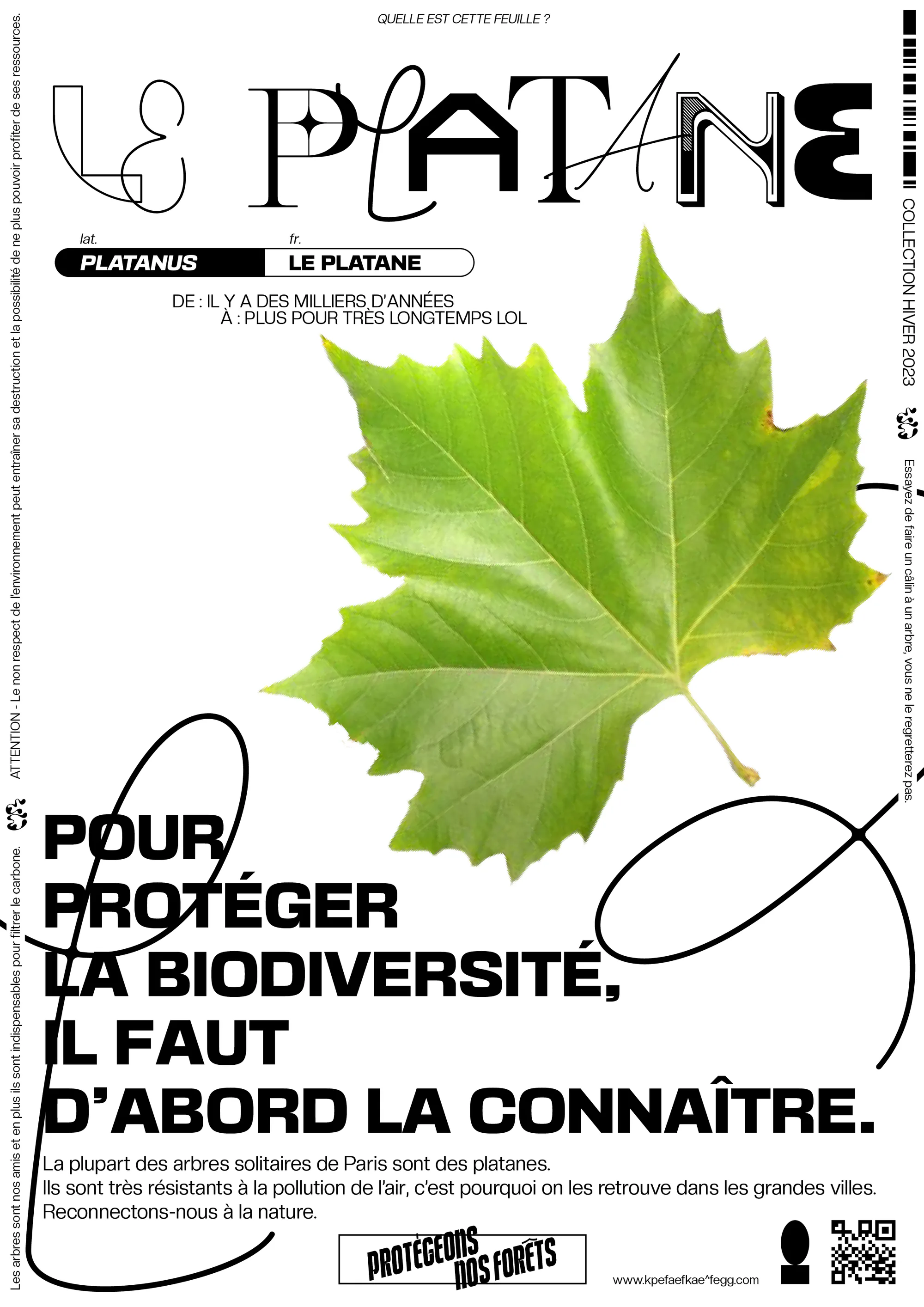 PROTÉGEONS NOS FORÊTS project image